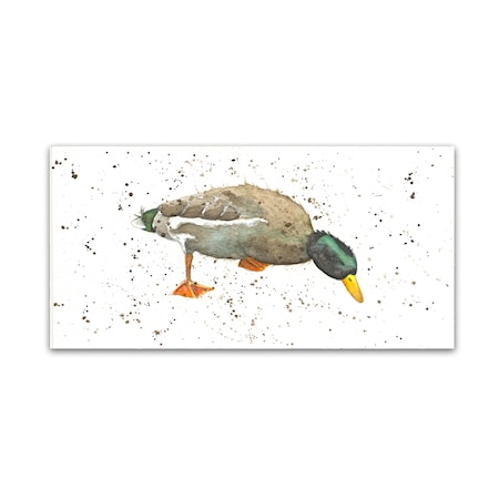 Michelle Campbell 'Duck 3' Canvas Art,10x19